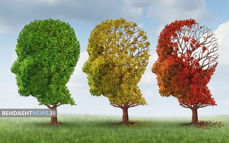 تشخیص سن شروع آلزایمر با یک آزمایش جدید