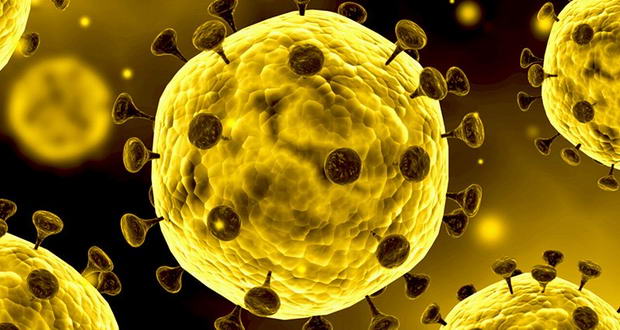 یک ویروس جدید در بزریل کشف شد 