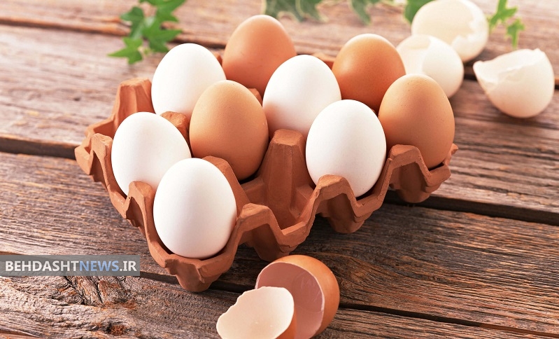  فواید و مضرات مصرف تخم مرغ 