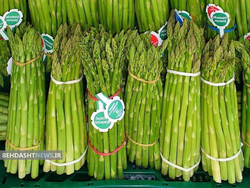 خواص شگفت انگیز مارچوبه/ لاغری و جوانی؛ با یک تیر دو نشان بزنید 
