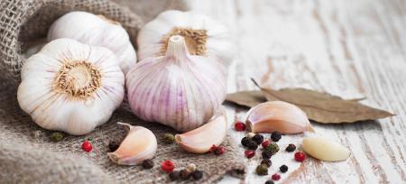 آیا مصرف سیر می تواند از بیماری و  ویروس کرونای جدید جلوگیری کند؟/ اختصاصی