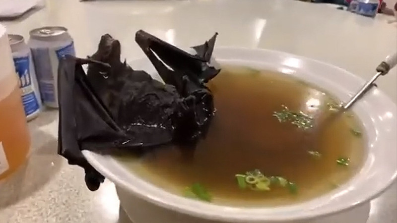 سوپ خفاش یکی از عجیب ترین غذاهایی است که در دنیا طبخ و مصرف می شود. این...