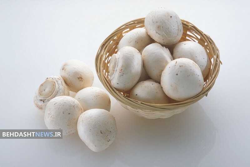 ارزش غذایی قارچ