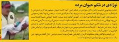 نوزاد انسان در شکم حیوان مرده همه را شوکه کرد+ عکس