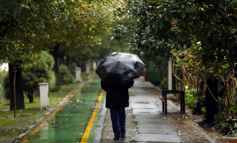 بارش باران بهاری در تهران+ عکس