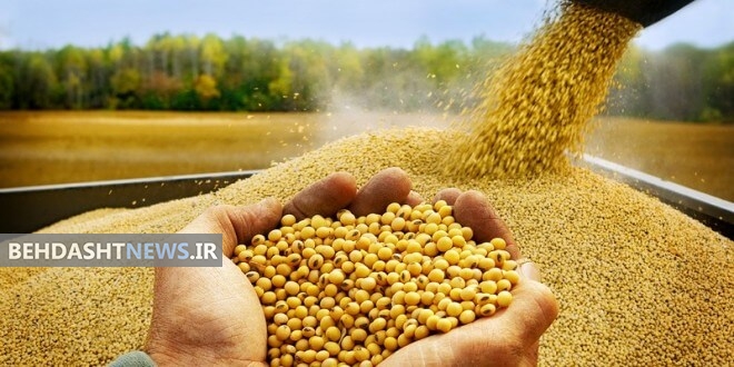  آیا سویا برای پوکی استخوان مفید است؟ 
