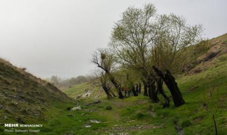 جلوه زیبایی از طبیعت اراک بالاتر از ابرها+ تصاویر