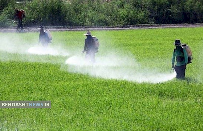 آفت کش ها با افزایش تستوسترون موجب بلوغ زودرس در پسر بچه ها می شود