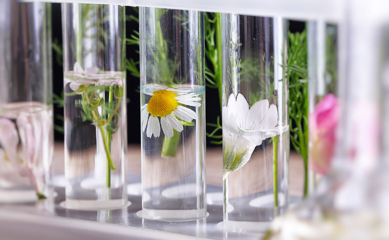 تاثیر شگفت انگیز عطرها در مناسبات اجتماعی