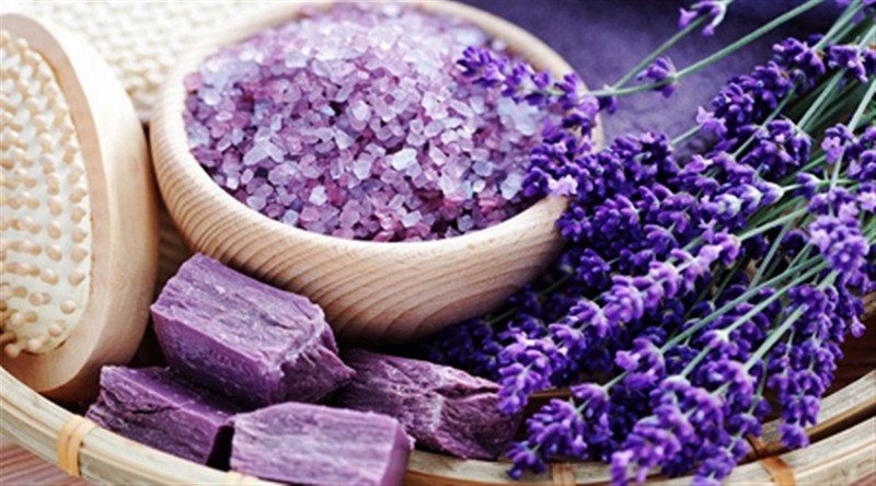  معجزه این گیاه برای کاهش استرس