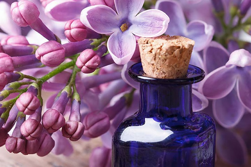 پادشاه روغن های گیاهی