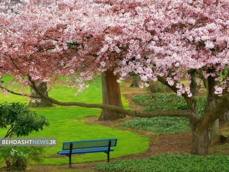  لزوم پرهیز از خوردن غذاهای گرم و خشک، ورزش زیاد و حمام مکرر در بهار 