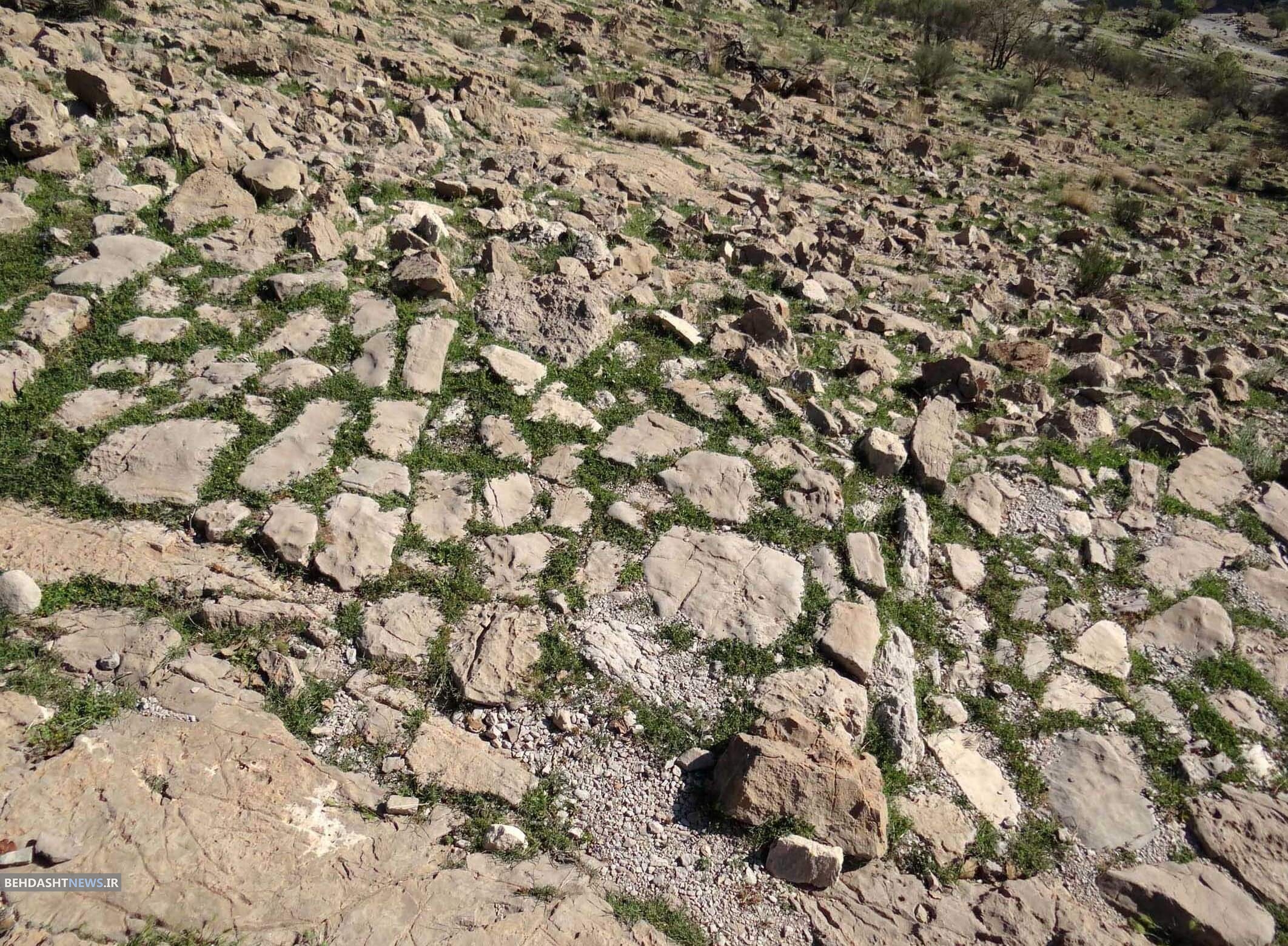 کشف سنگفرش ۱۸۰۰ساله یک‌کیلومتری از جنس لاشه در ایران + تصاویر 