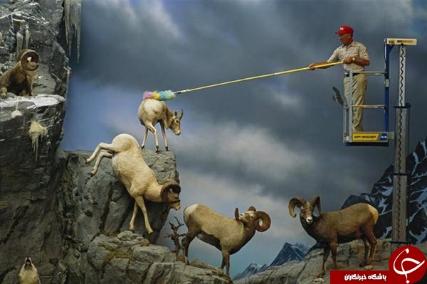 فعالیت نظافت‌چی‌ها در فروشگاه سیدنی + عکس