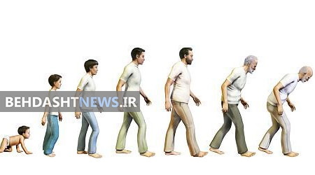 آخرین تحقیقات درباره طول عمر
