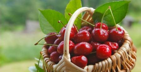  اعصاب خود را با این میوه تقویت کنید