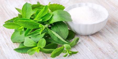 علائم بیماری کبدچرب را با این گیاه کاهش دهید 
