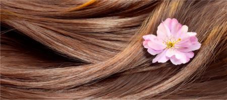  چند راهکار ساده برای تقویت و سریعتر بلند شدن مو