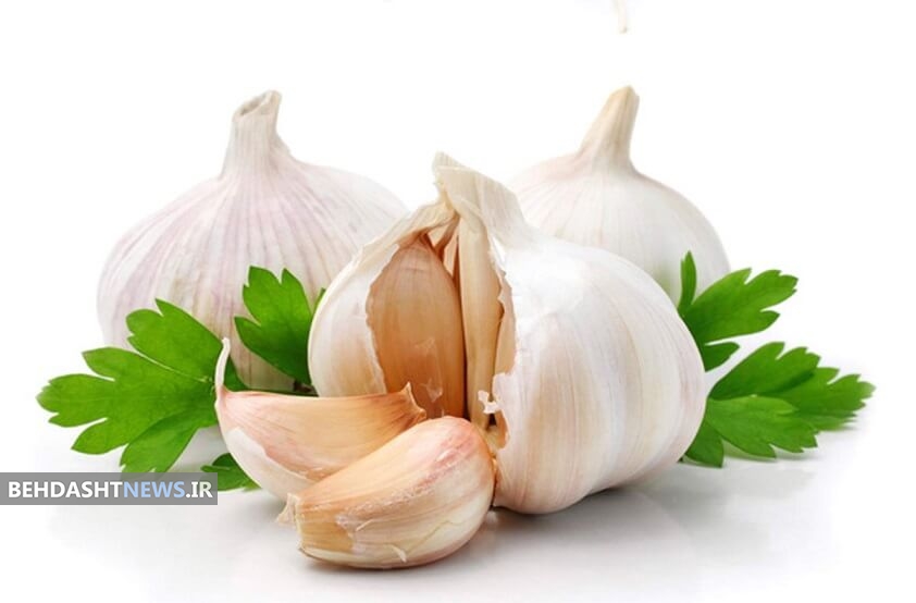  علت بوی بد سیر چیست و چطور از آن خلاص شویم؟