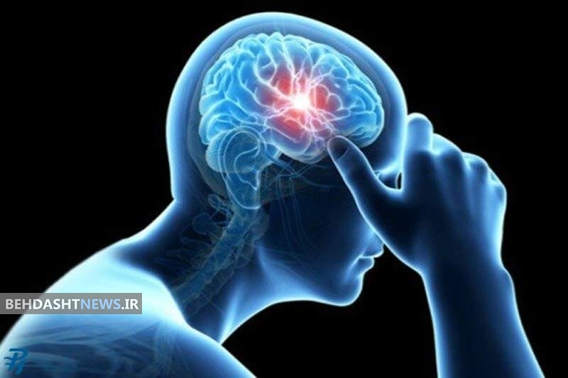 قلب سالم محافظ سلامت مغز