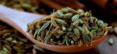 گیاهی شگفت‌انگیز برای بانوان 