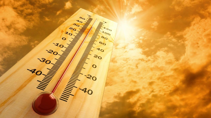 چرا در فصل گرما دچار افزایش دمای بدن می‌شویم و باید چه کار کنیم؟+ اینفوگرافیک