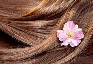 ماسک های بهاری مناسب مو 