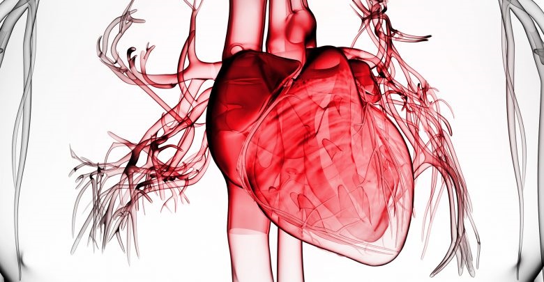 سیستم الکتریکی قلب شما چطور کار می‌کند؟