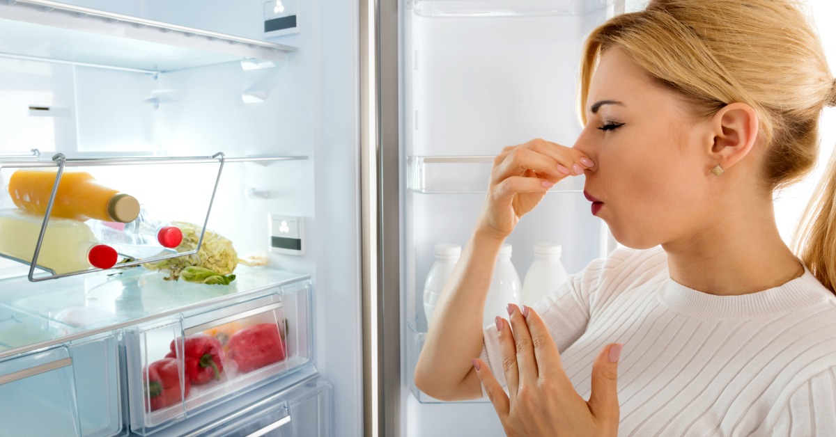 چگونه بوی بد یخچال را از بین ببریم؟