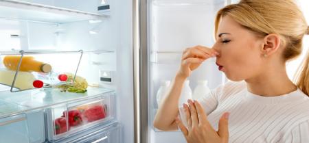 چگونه بوی بد یخچال را از بین ببریم؟