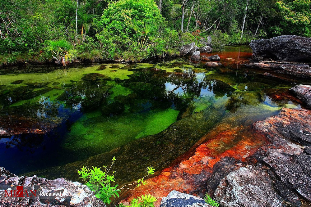 زیباترین رودخانه رنگین کمانی جهان + عکس