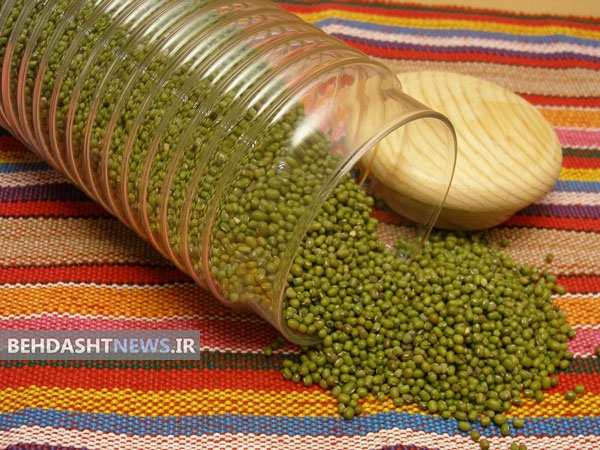 ماش مناسب برای سرفه و ورم لوزه 