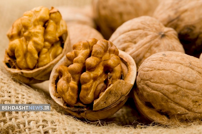 فواید پوست گردو برای لثه ها