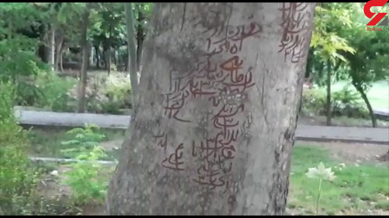 ماجرای طلسم درختان پارک لاله تهران چه بود؟ + عکس و فیلم ماجرای طلسم درختان پارک لاله تهران چه بود؟ + عکس و فیلم