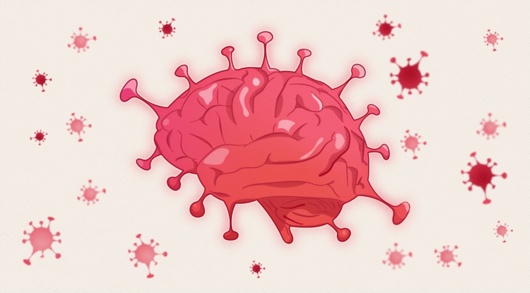  کرونا چگونه بدن‌تان را فریب می‌دهد تا به سلول‌های مغزی حمله کند