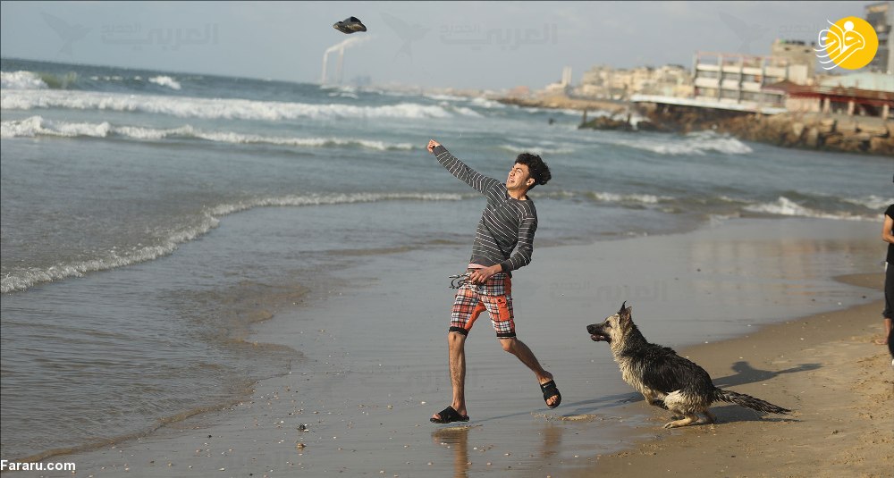 ممنوعیت سگ گردانی در غزه + عکس
