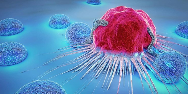 کشفیات تازه در مورد نابودی سلول های سرطانی با اسید چرب