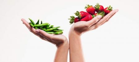 چگونه یک رژیم خوب بگیریم؟ ۷ سوال مهم قبل از رژیم شروع غذایی