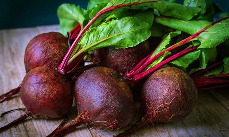 فواید و مضرات مصرف چغندر