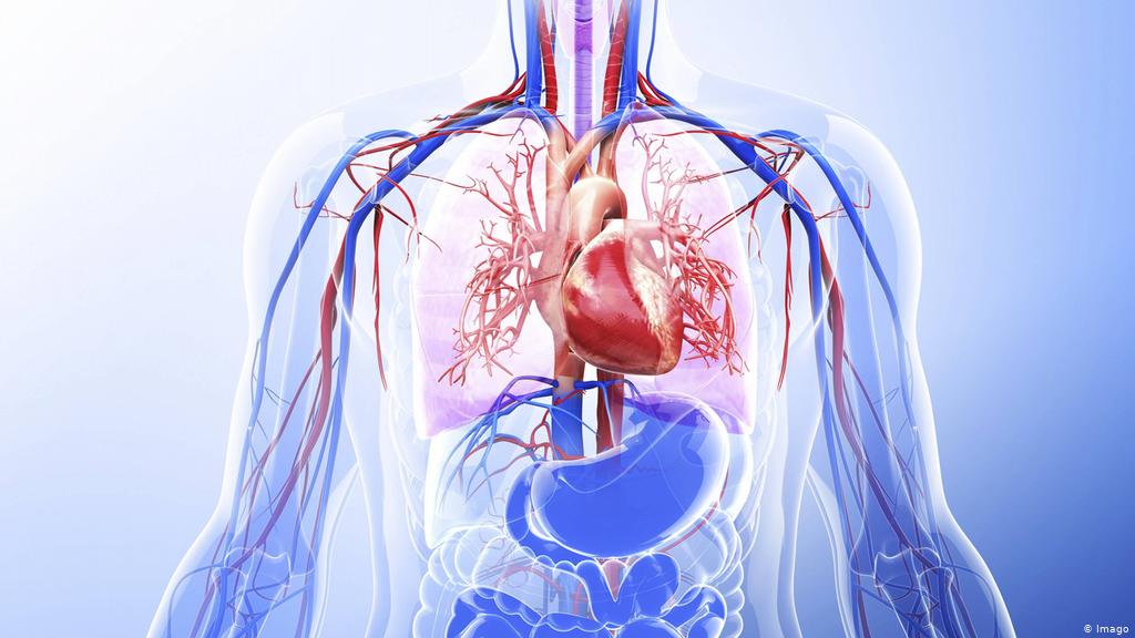 	ارتباط  COVID-19 با آسیب قلبی در افراد بهبود یافته  