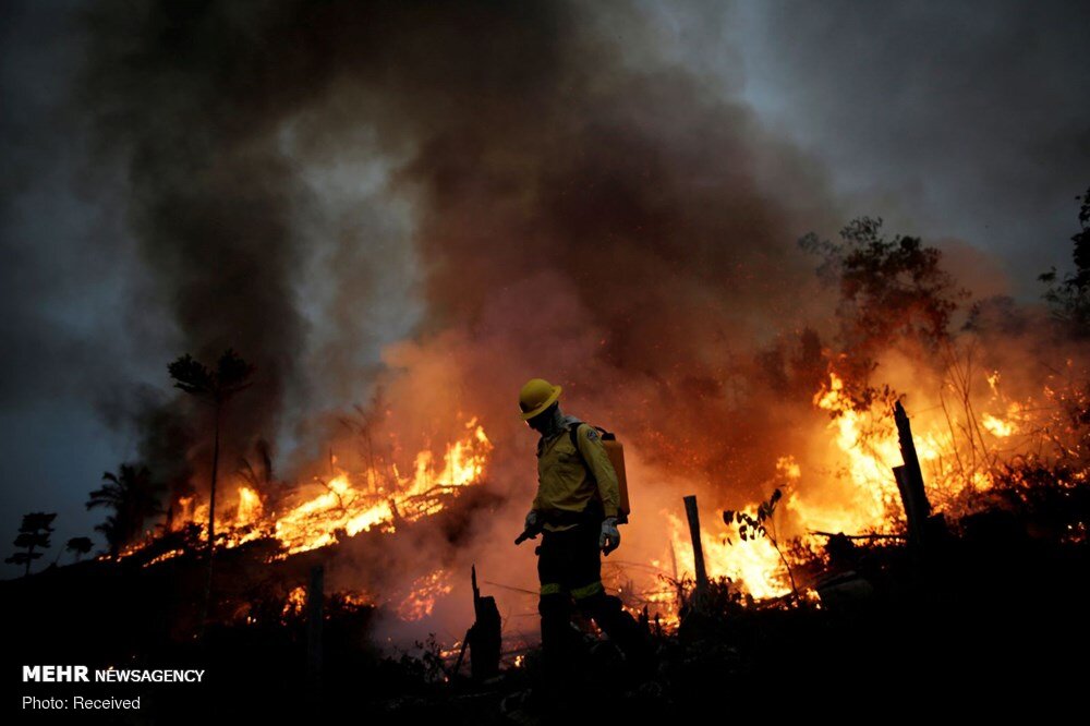 آتش سوزی در جنگل‌های آمازون + عکس