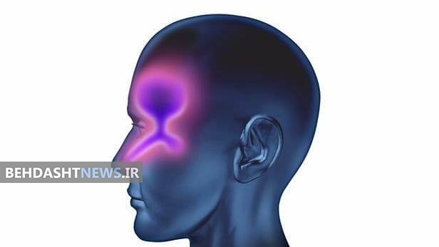  راهی برای رساندن مستقیم مواد دارویی به مغز