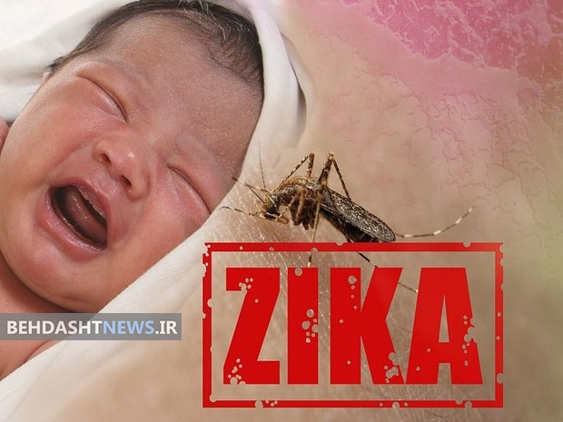ویروس «زیکا» می تواند منجر به بروز صرع در نوزادان شود