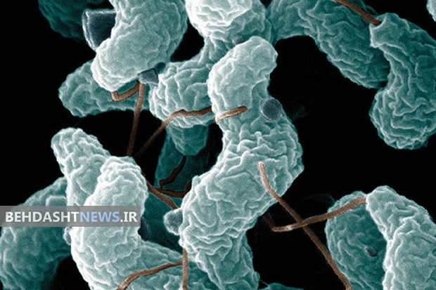 کشف پروتئین محافظ بدن در مقابل سرطان و اچ آی وی