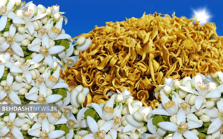 شربت بهارنارنج بهترین نوشیدنی خواب آور+ روش تهیه