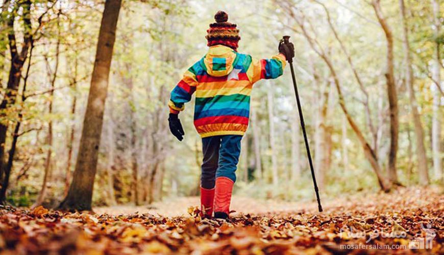 افراد دارای این مزاج، پاییز خطرناکی در پیش دارند 