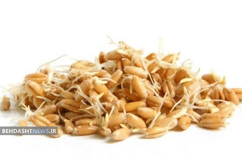 فواید فوق العاده جوانه گندم 