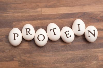 اختصاصی| بهترین منابع غذایی برای تأمین پروتئین بدن کدامند؟