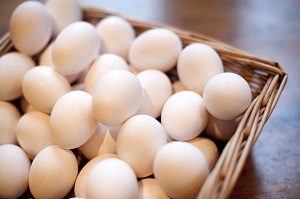 قیمت مصوب تخم‌مرغ، شانه‌ای ۲۶هزار تومان