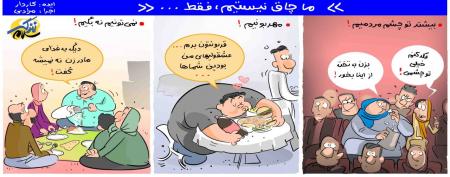 ما چاق نیستیم، فقط...! /کاریکاتور